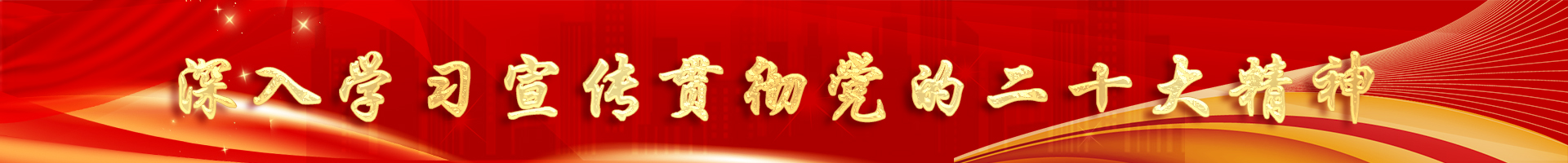 喜迎二十大，奋进新征程 